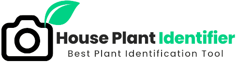 plant identifier logo