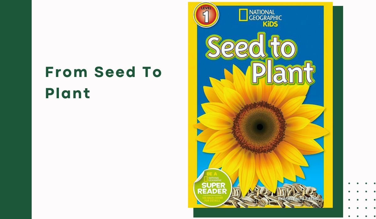 Books On Plants For Kindergarten
