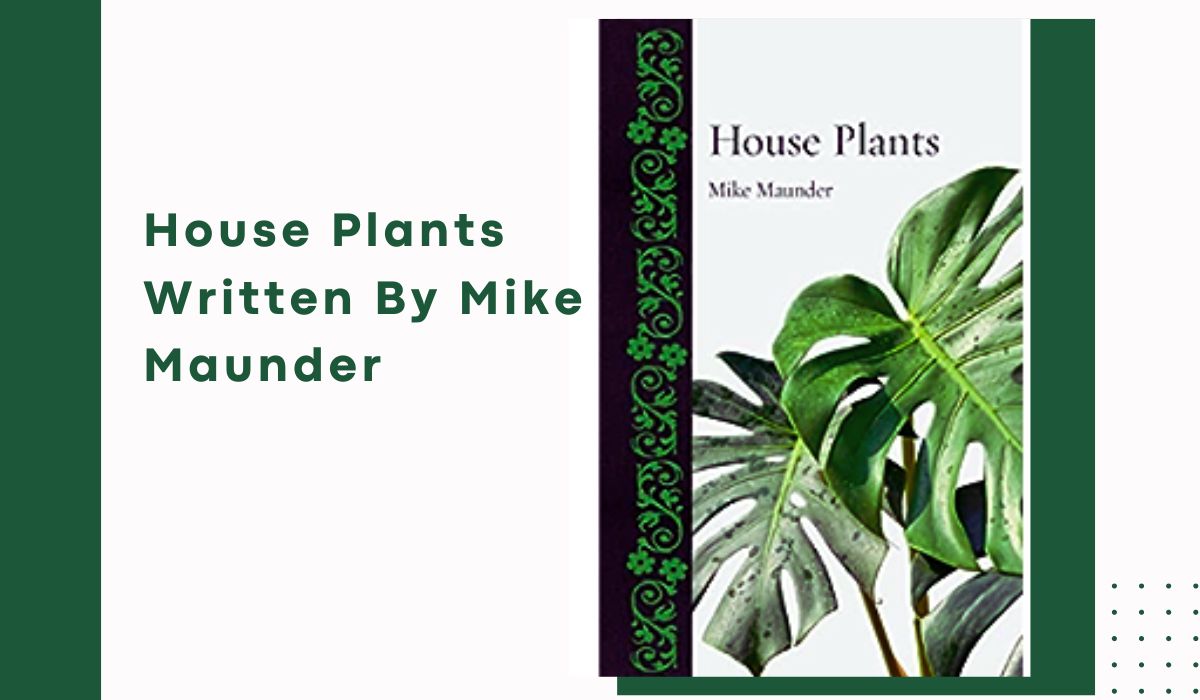 Best Houseplant Books For Beginners