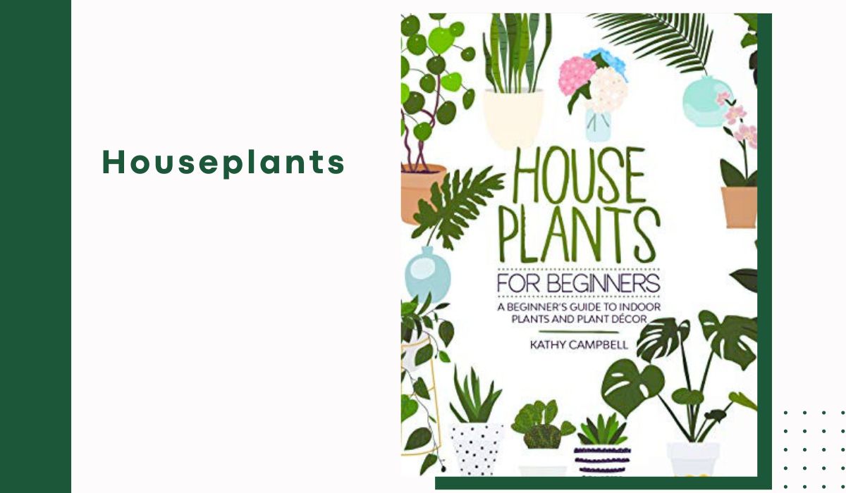 Best Houseplant Books For Beginners