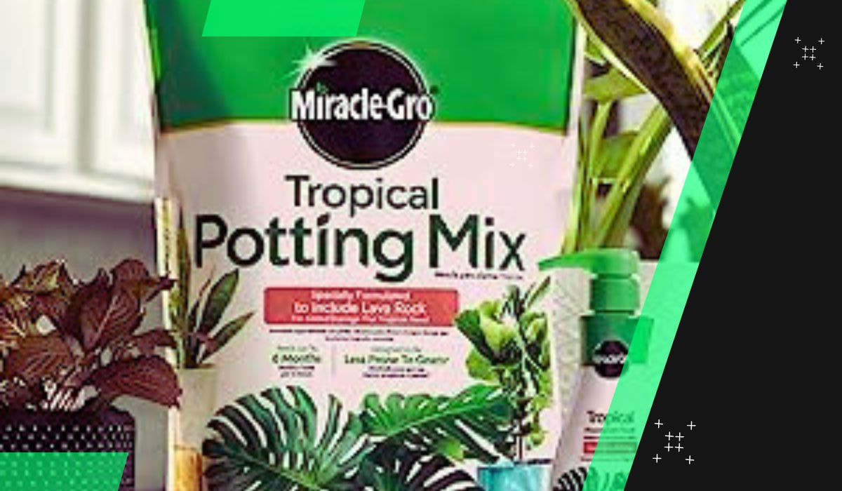 Houseplant Soil Mix A Complete Guide + Best Soil Mix Suggestions