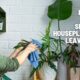 How To Shine Houseplant Leaves?