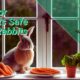 Indoor Plants Safe For Rabbits