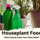 Houseplant Food for your indoor plant