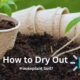 How to Dry Out Houseplant Soil?